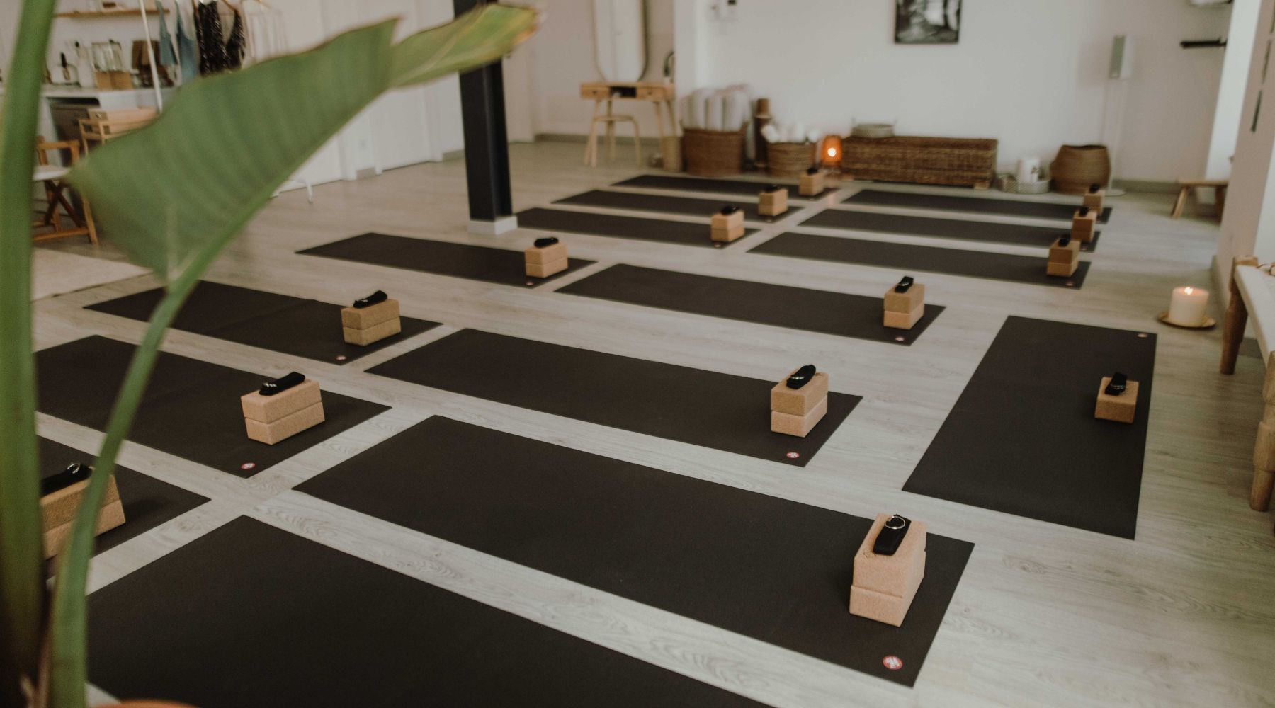 Studio Spotlight: The Seed