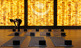 A serene yoga studio features several yoga mats arranged neatly, with black blocks placed on each mat and a warm, glowing backdrop.