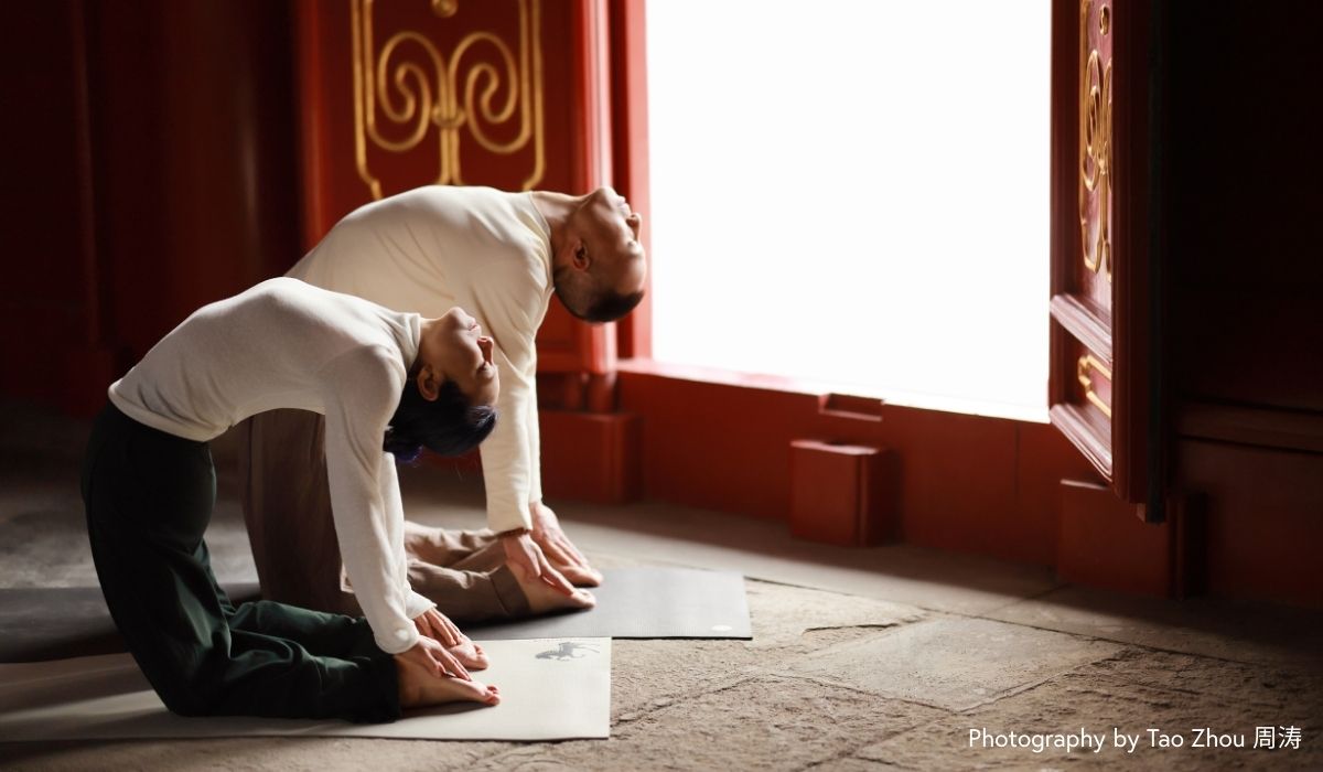 Harness Your Fire, Anchor Your Flow