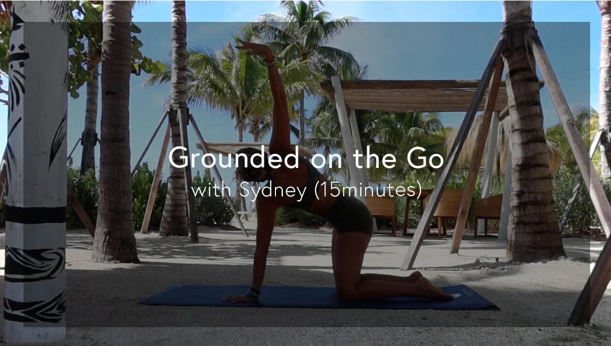 Grounded on the Go Flow with Sydney