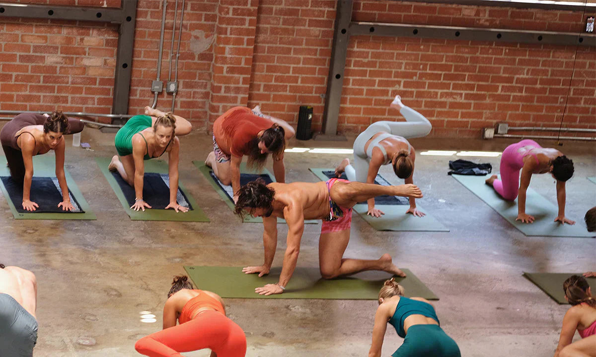 Studio Spotlight: Primal Moves Venice