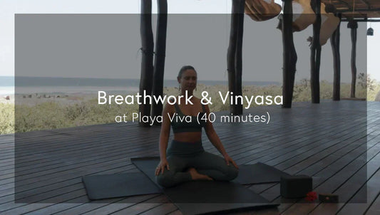 Breathwork and Vinyasa Yoga Flow at Playa Viva
