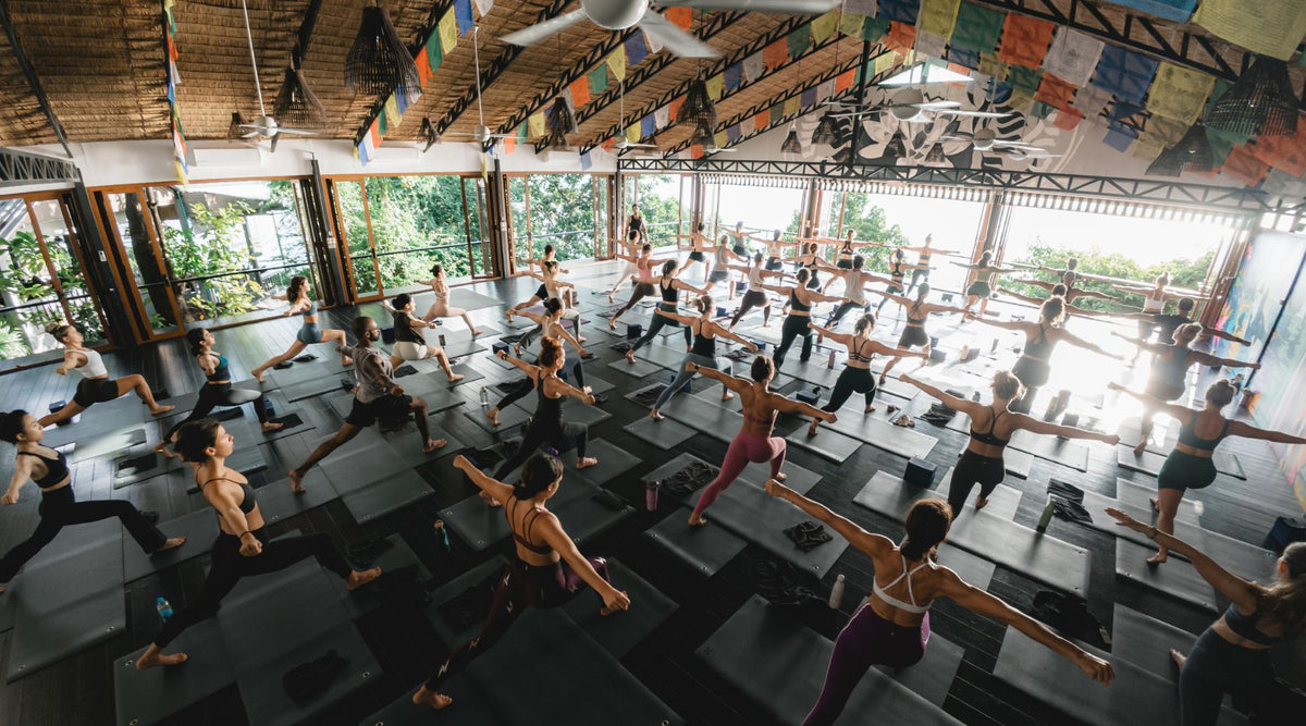 A large yoga class in a bright, airy studio with participants in various poses on yoga mats, surrounded by greenery and colorful decor.