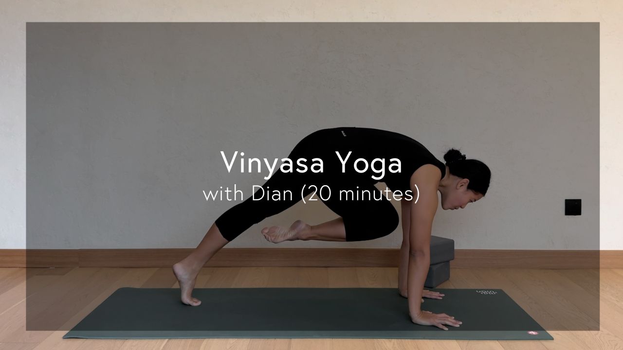 Vinyasa Yoga for All Levels