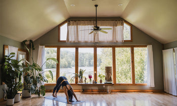 wild-lotus-yoga-collective-studio