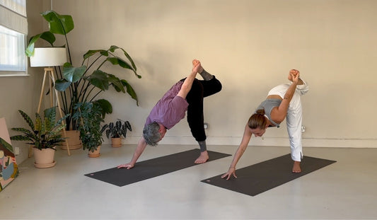 Two individuals practicing yoga on mats in a bright room filled with plants, demonstrating flexibility and strength through their poses.